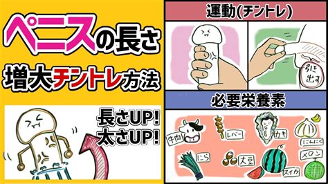 陰茎を太くする|【ちんこを伸ばしたい人必見】ちんこを伸ばせるたった1つの安。